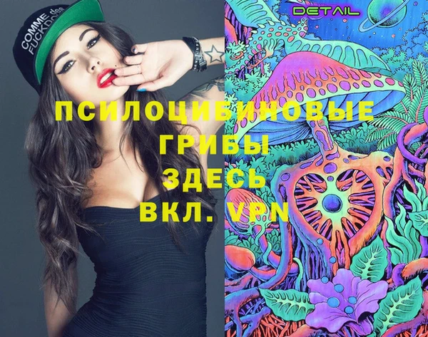 молекула духа Абинск