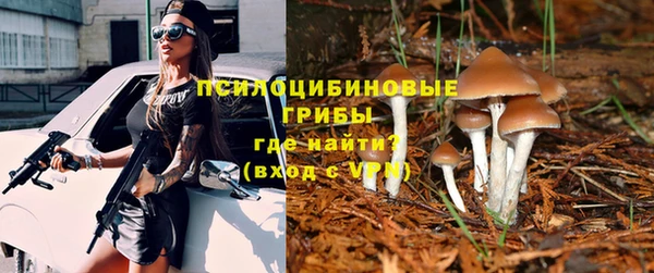 молекула духа Абинск