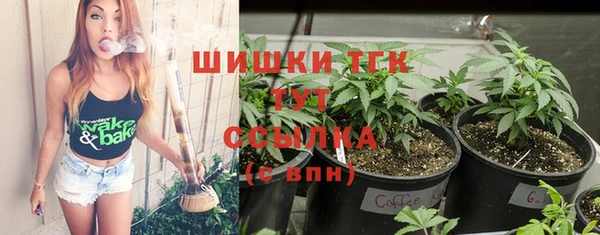 молекула духа Абинск