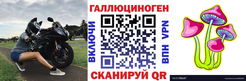 купить  цена  Камышлов  Псилоцибиновые грибы GOLDEN TEACHER 