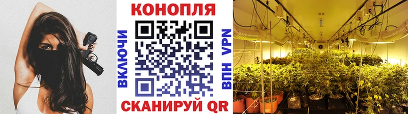 Марихуана MAZAR Камышлов